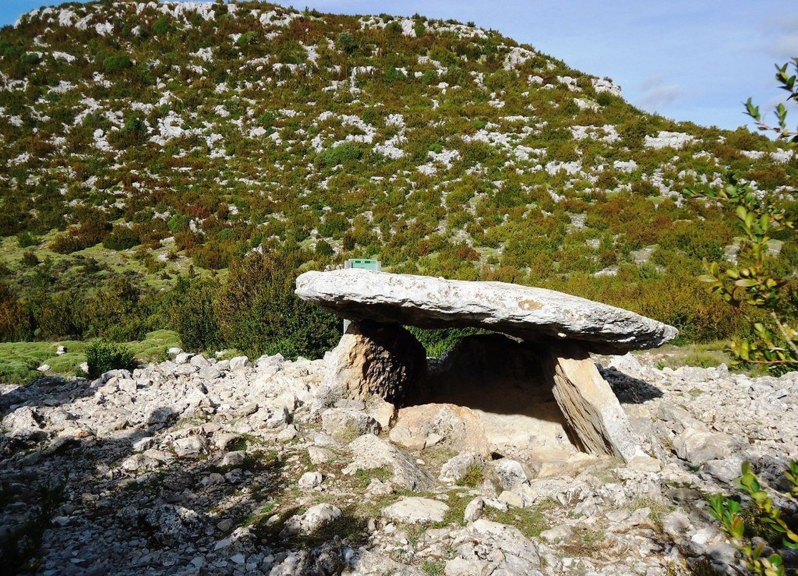 Dolmen à Rodellar