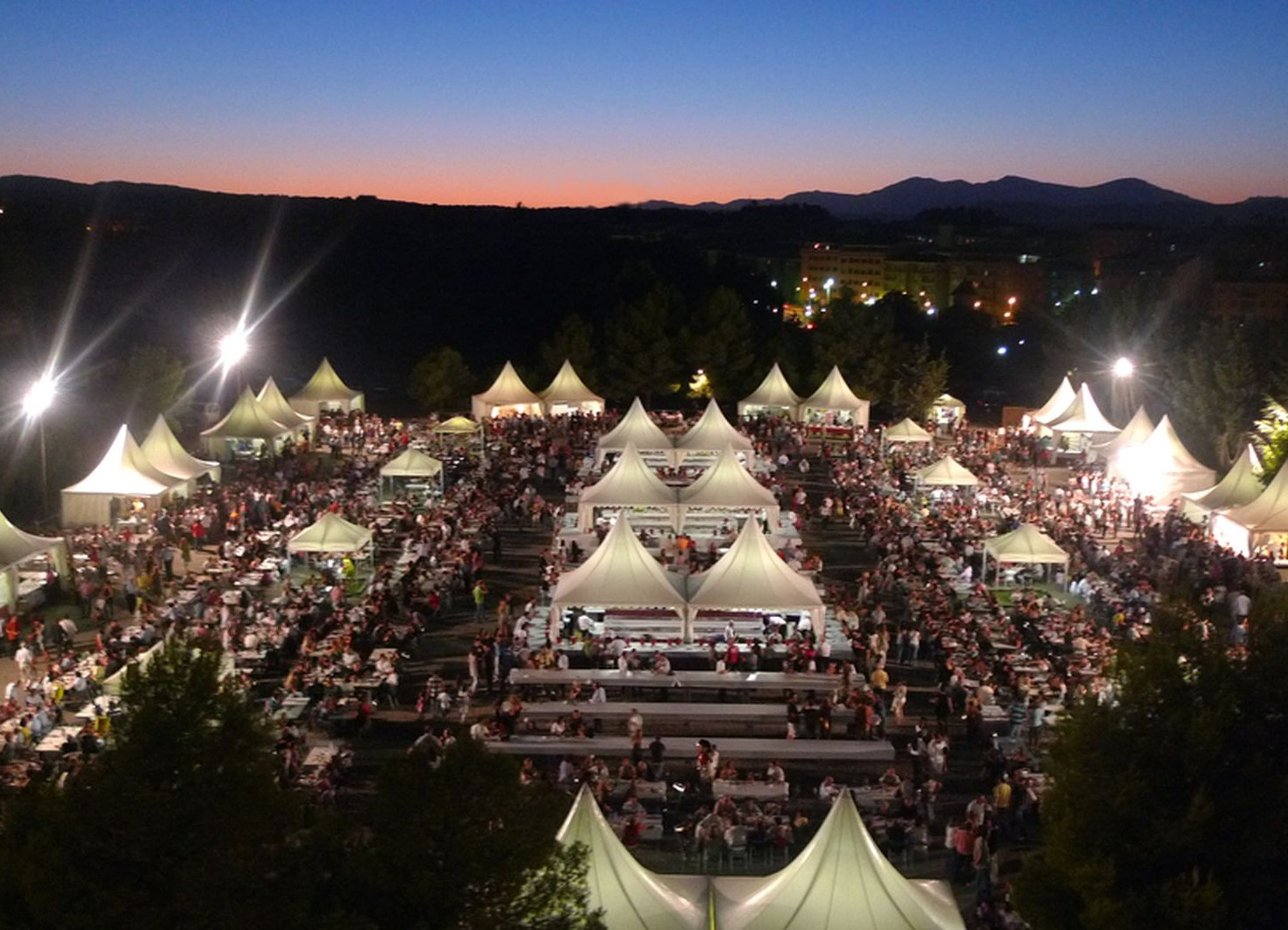 Dégustation du vin et tapas Somontano