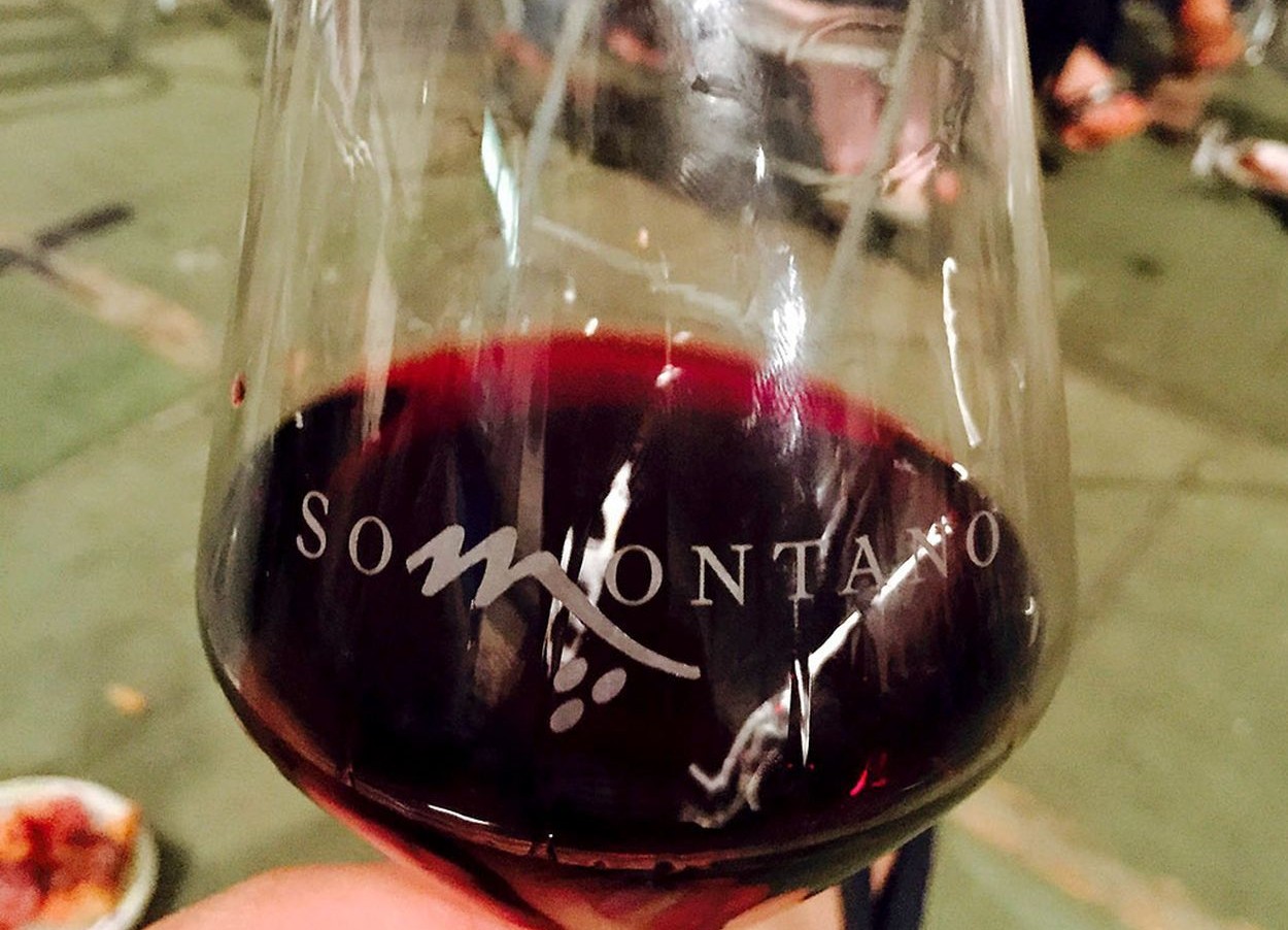 Dégustation du vin AOP Somontano