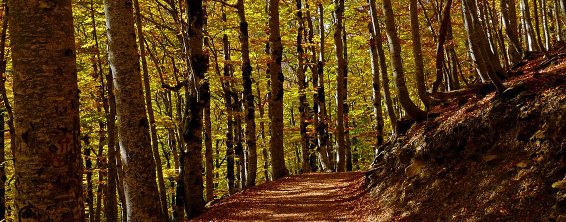 Randonées parc National d'Ordesa et Mont Perdu :