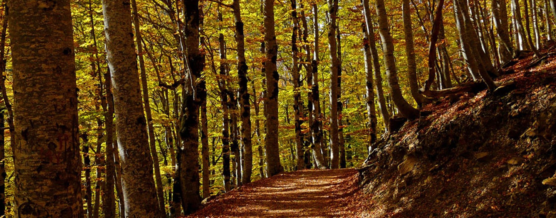 Randonées parc National d'Ordesa et Mont Perdu :